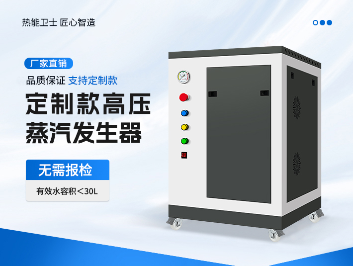 定制款高壓蒸汽發生器